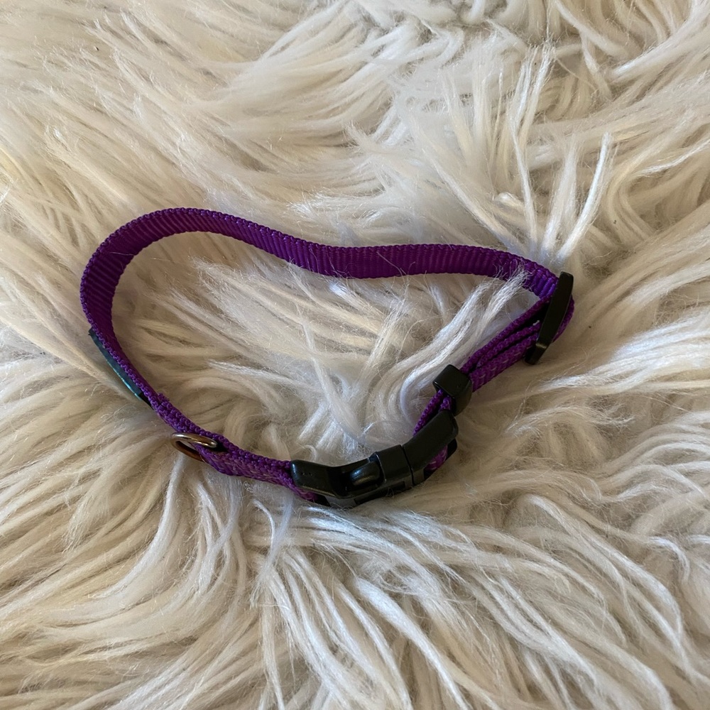 Max & Neo slim purple pet collar